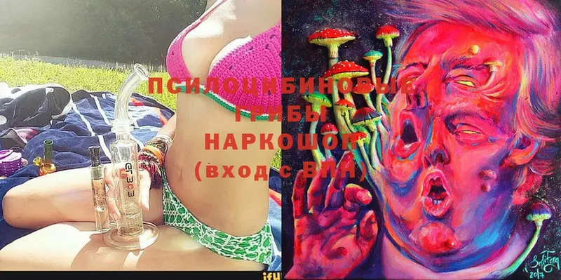 Псилоцибиновые грибы MAGIC MUSHROOMS  Арамиль 